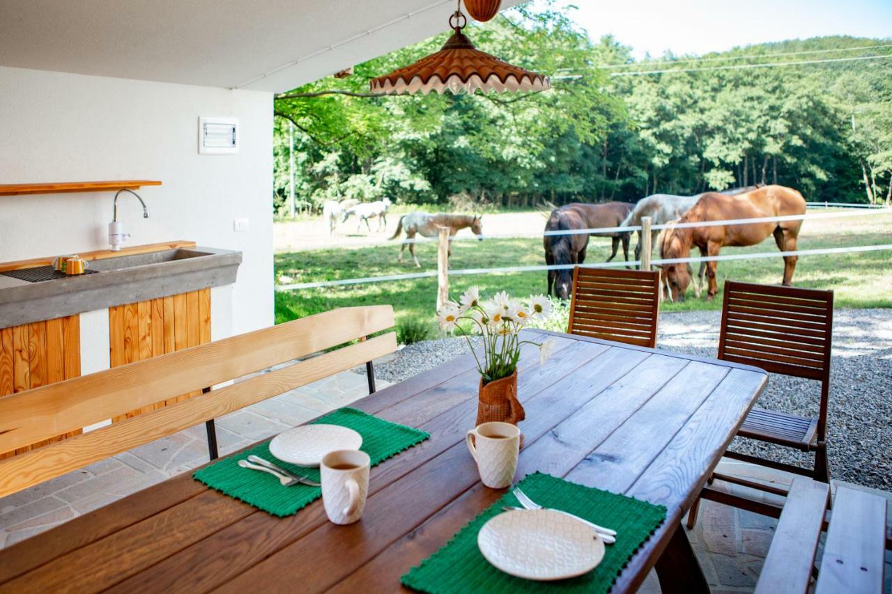 Farm Volk Villa Suhorje Exterior photo